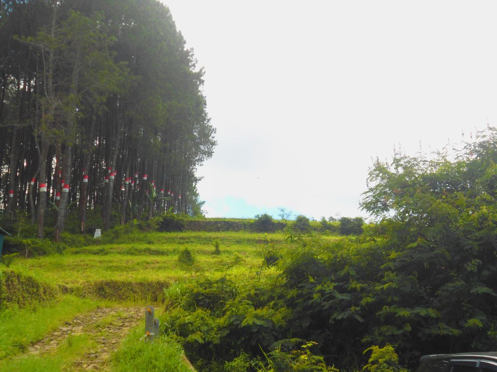 Pintu Masuk Karacak Valley