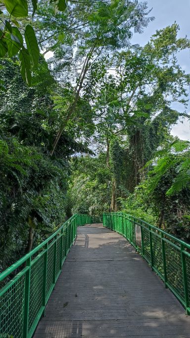 Manfaat Jalan Kaki di Forest walk Bandung