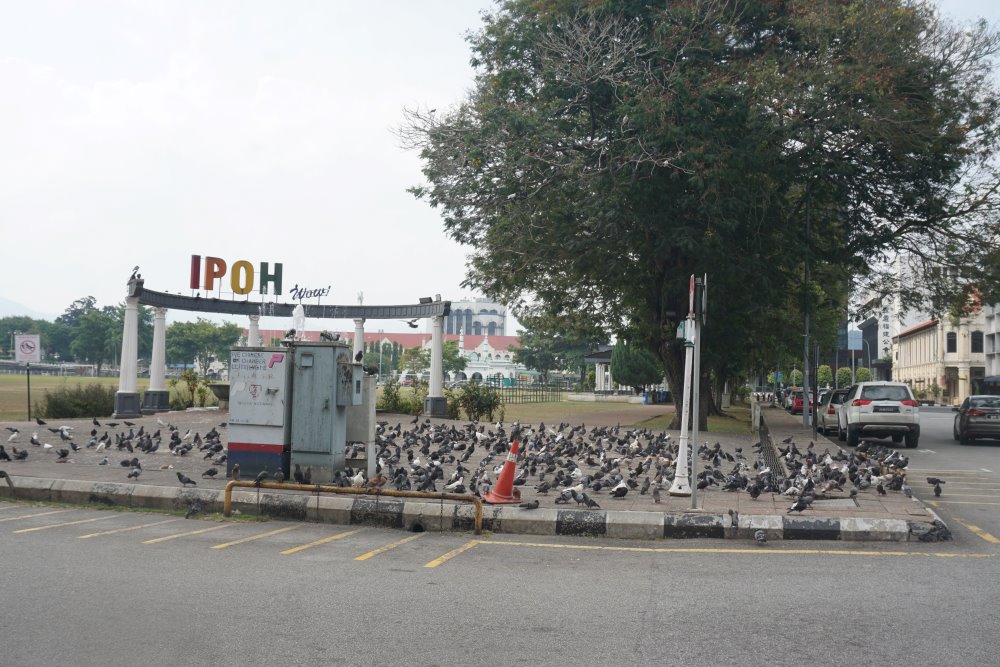 Padang Ipoh