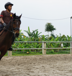 Kentauros Sekolah berkuda untuk terapi anak autis