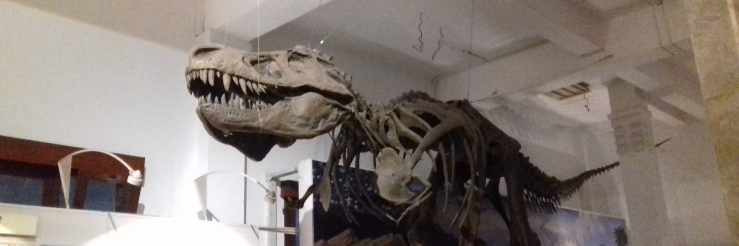 Night at the Museum Geologi
