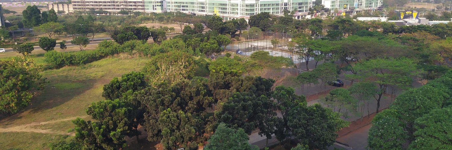 cerita tentang mimpi