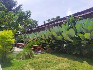 Cafe Baru di Bandung, Hafa Warehouse