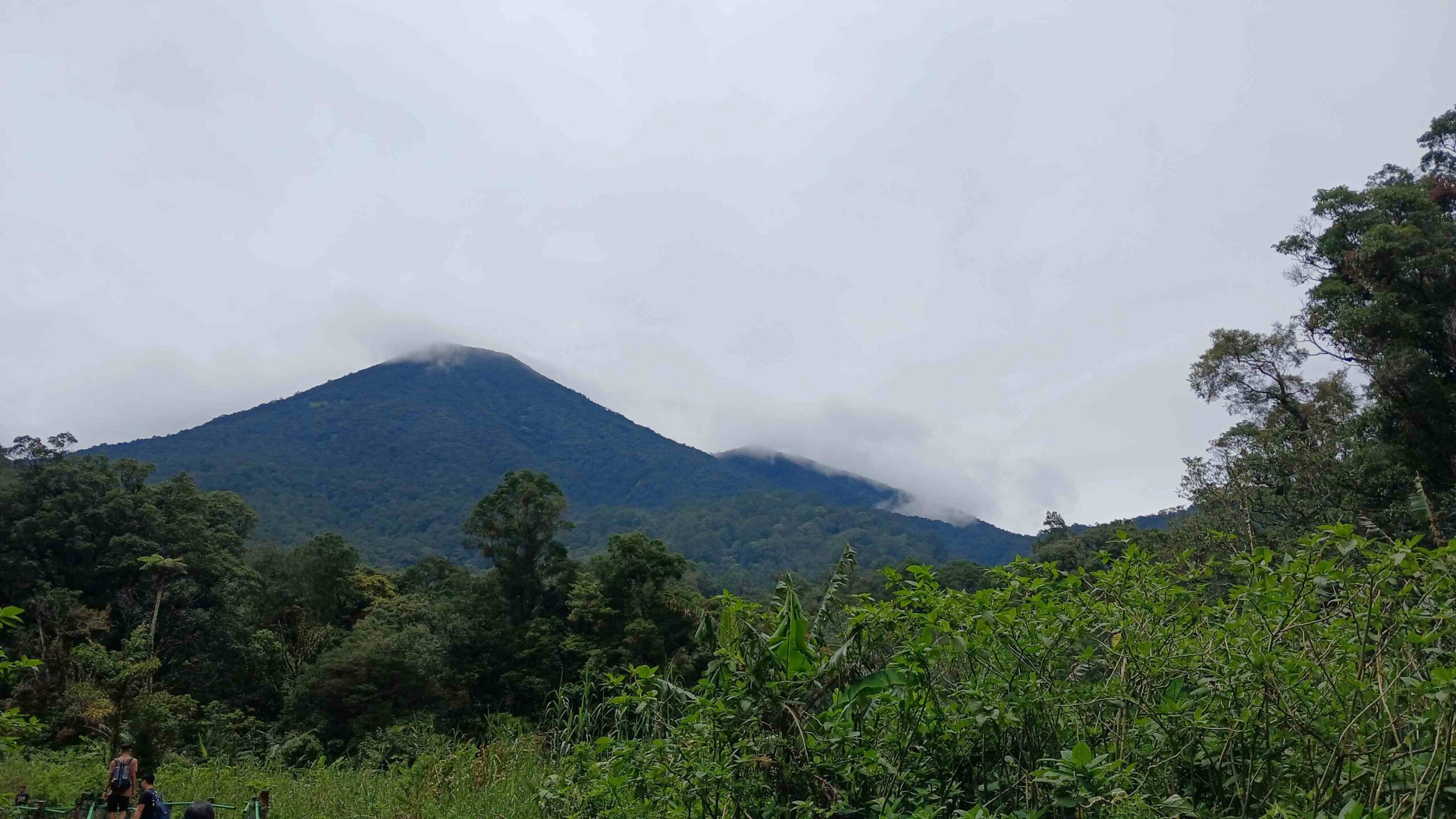 Gunung Gede Pangrango dari Rawa Gayonggong