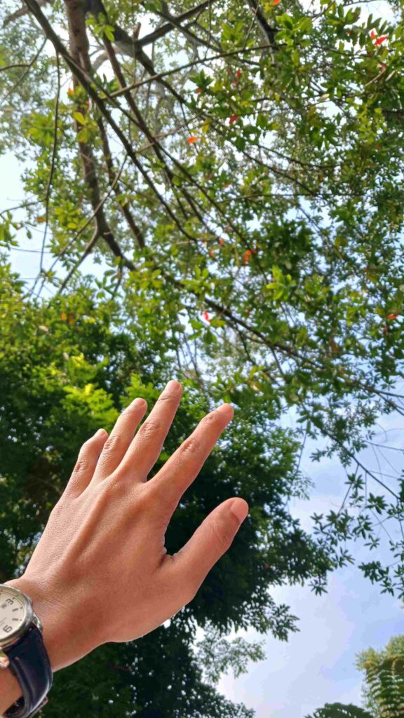 Pagi di Pagerwangi