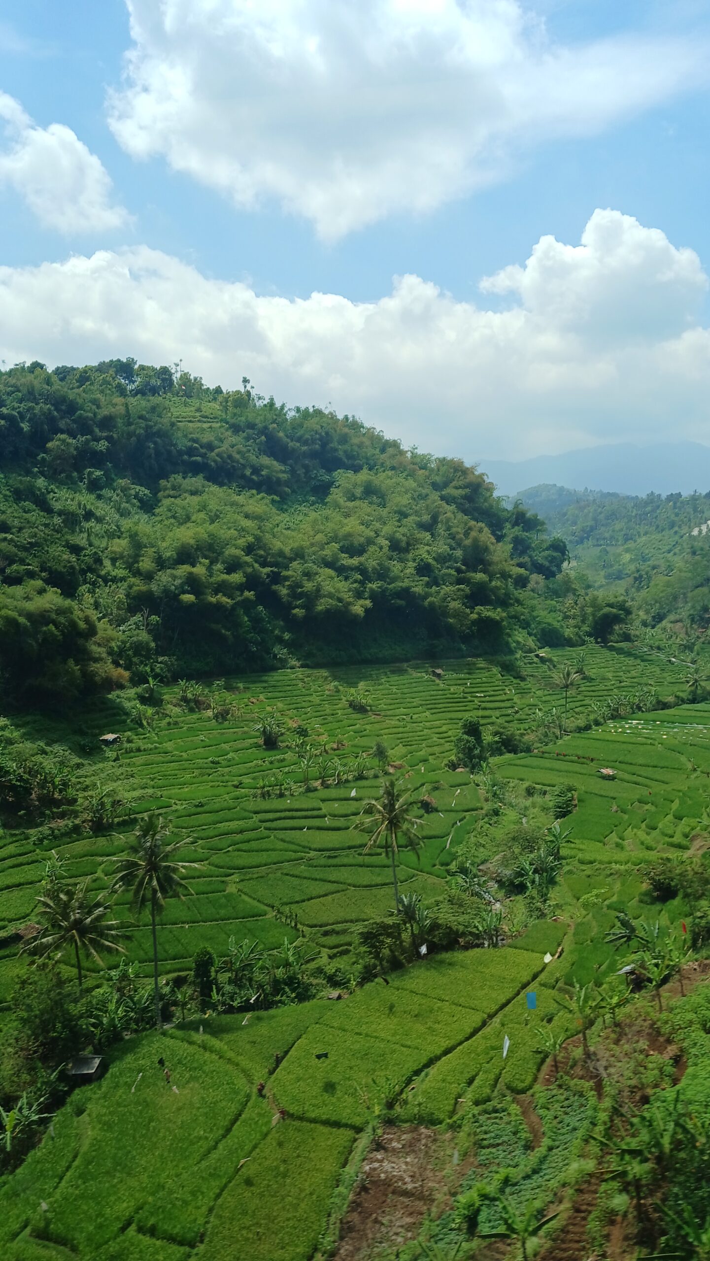 Pemandangan jalur kereta Jakarta ke Bandung, KA Ciremai Anjlok