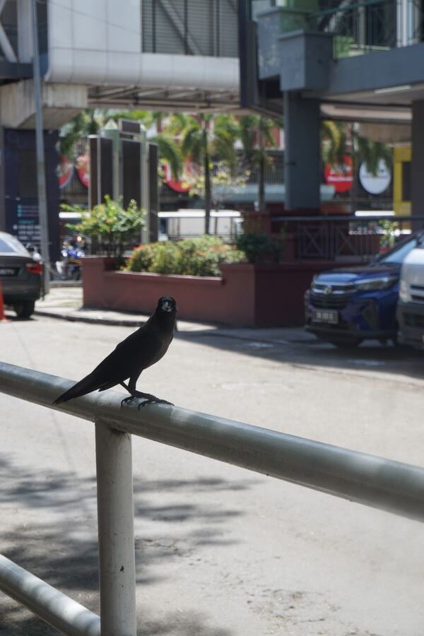 Pagi di Kota Kinabalu, Sabah, border terunik di dunia